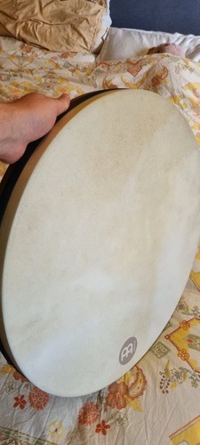 Meinl fd22t goatskin - meinl,